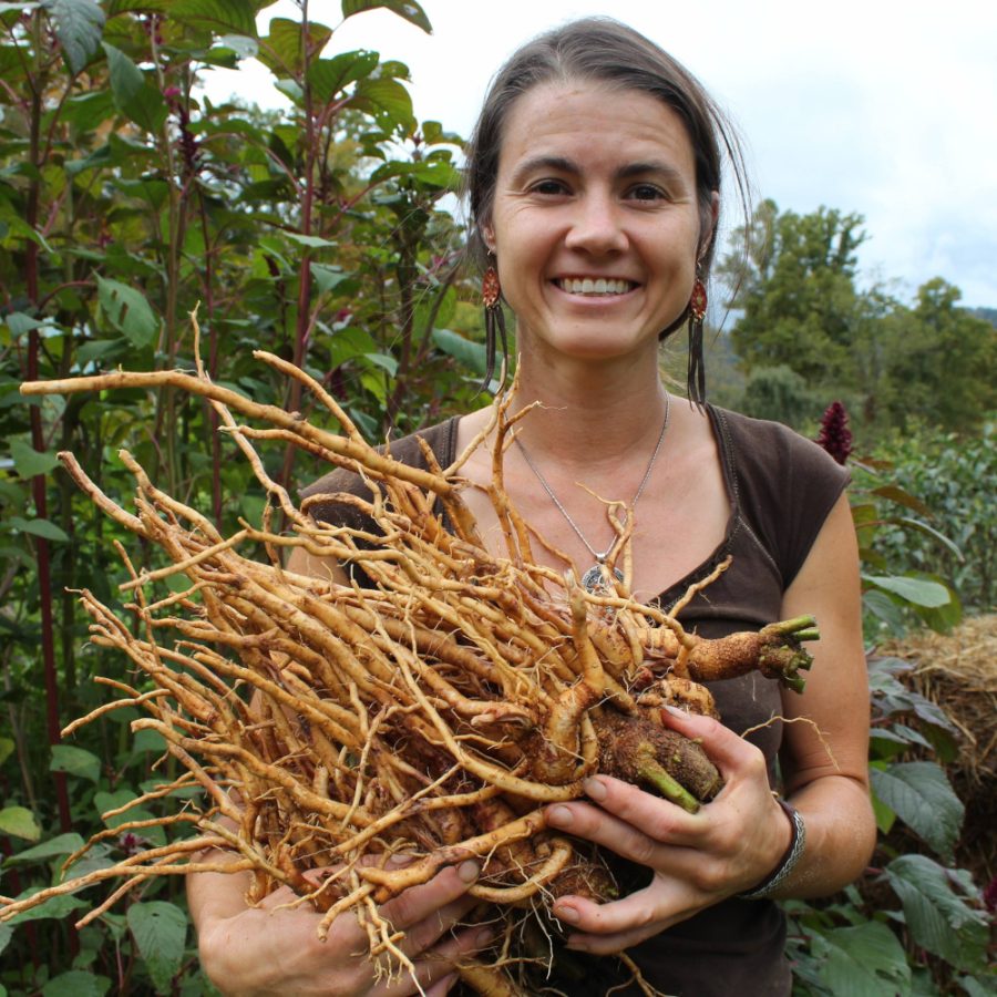 Adaptogens herbs like ashwagandha and holy basil support the HPA axis and help regulate stress and hormonal balance.