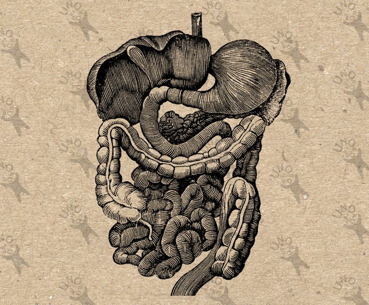 Parasites