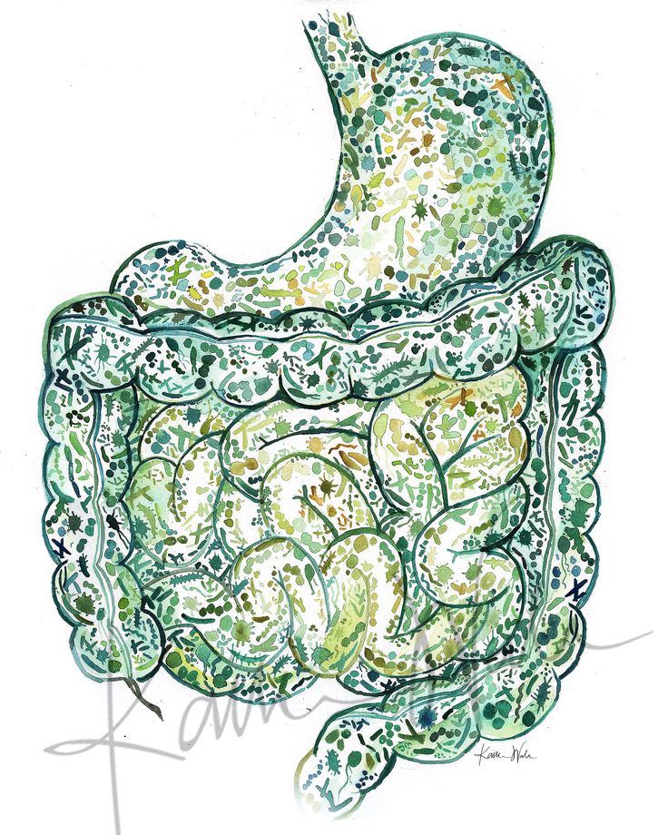 Gut Microbriome