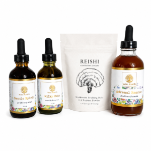 Nervous System Reset Bundle