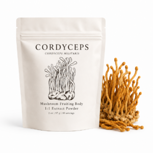 Organic Cordyceps Mushroom
